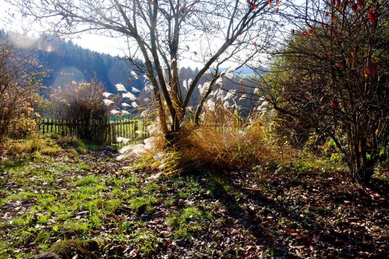 Innen-/Außenaufnahmen by Jochen Grün © greenstuff design