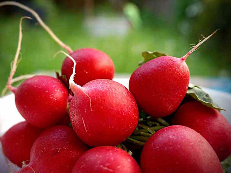 Food by Jochen Grün © greenstuff design