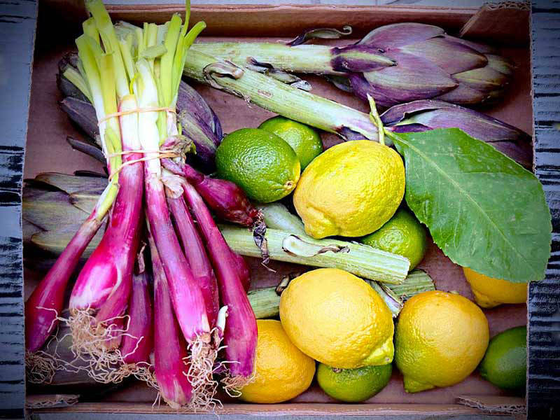 Food by Jochen Grün © greenstuff design