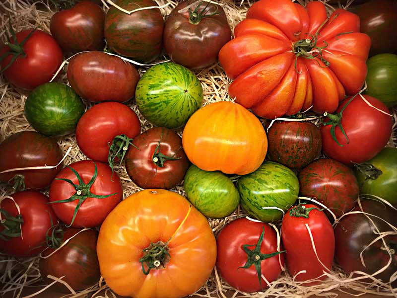 Food by Jochen Grün © greenstuff design